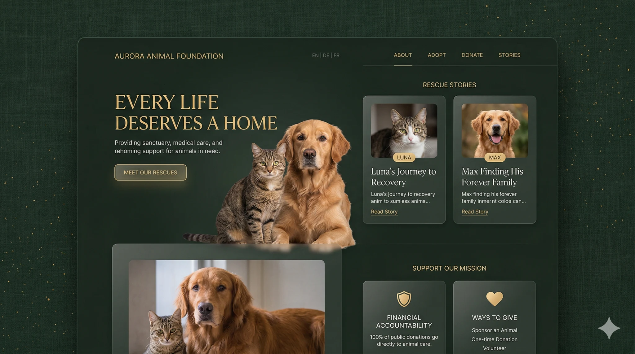 Aperçu du projet web Fundacja Morusek